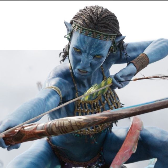 Avatar project image